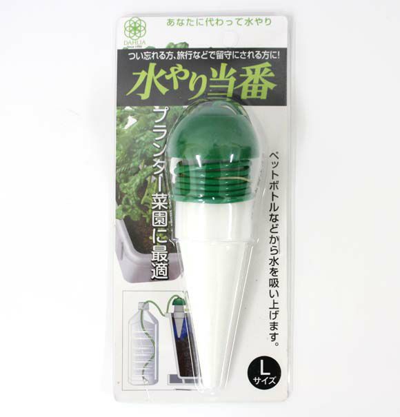 ゴールドクレストは風水的には屋外に飾って子宝運アップや魔よけに 観葉植物 ブルーミングスケープ ブログ
