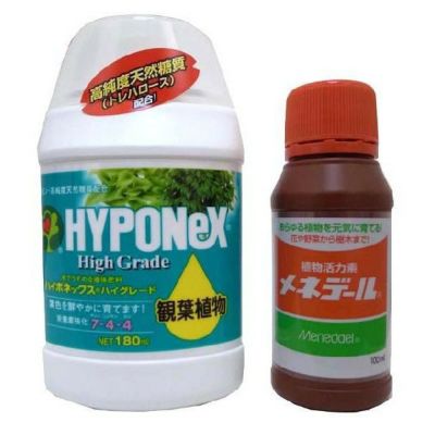 ハイポネックス（観葉植物用）+メネデール セット