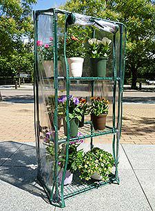 【送料無料】簡易温室 ロングタイプ 3段