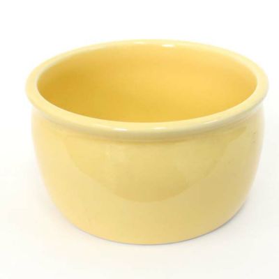 ３品種寄せ植え用　陶器鉢（イエロー）