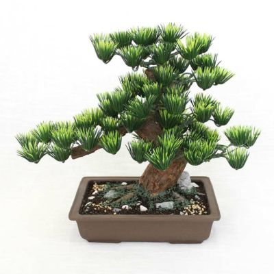 長角7号（工芸盆栽）