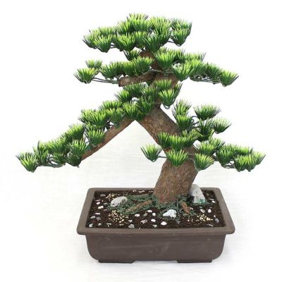 長角 10号（工芸盆栽）