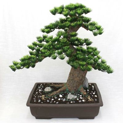 長角 15号（工芸盆栽）