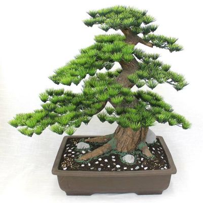 工芸盆栽 長角 15号（デラックス）