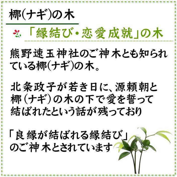 色まで楽しめる土を使わない観葉植物！レインボークリスタル 2鉢セット｜ハイドロカルチャー・水耕栽培・風水