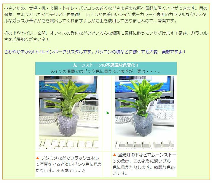色まで楽しめる土を使わない観葉植物！レインボークリスタル 2鉢セット｜ハイドロカルチャー・水耕栽培・風水