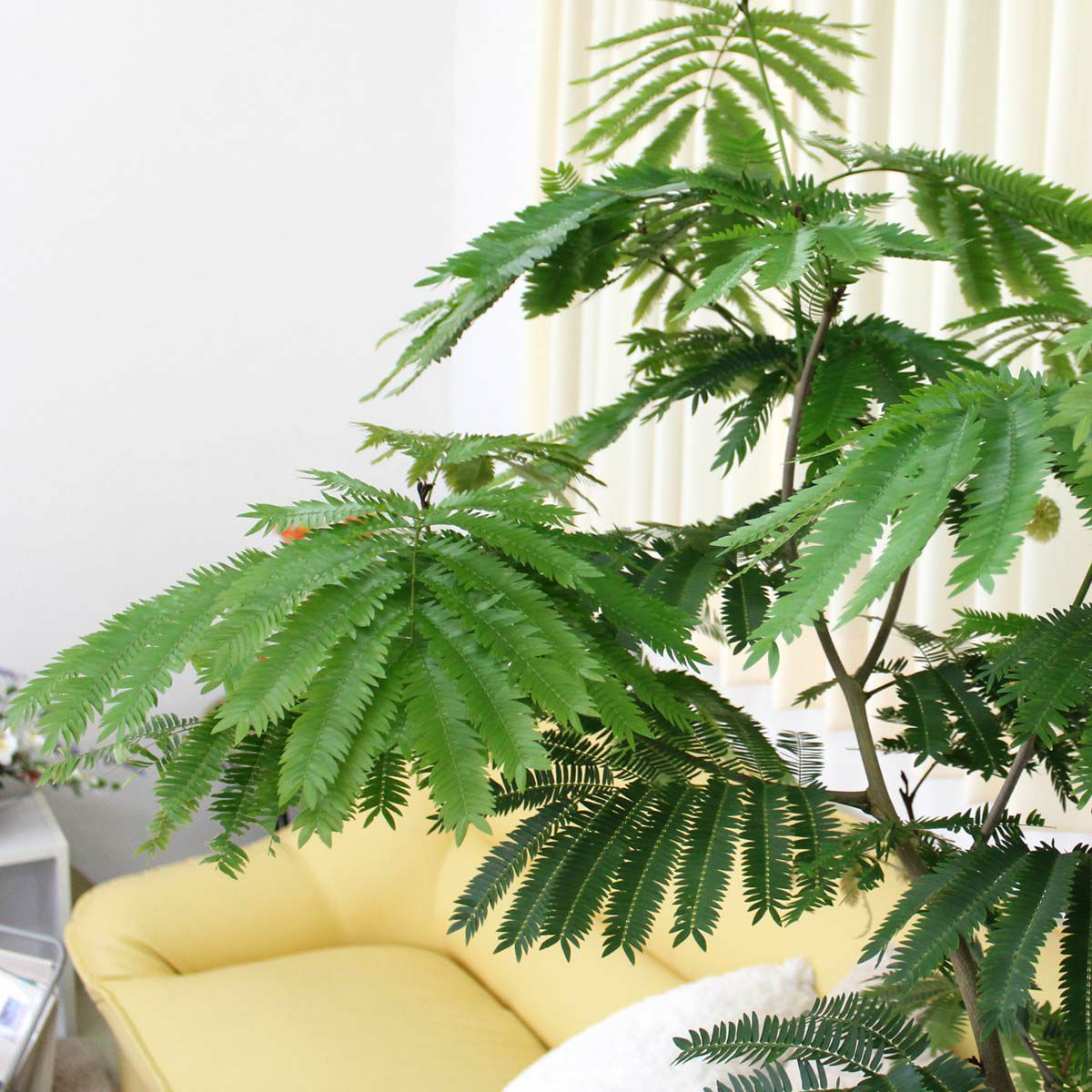 エバーフレッシュ 10号