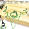 土を使わない観葉植物 開運竹 ミリオンバンブー