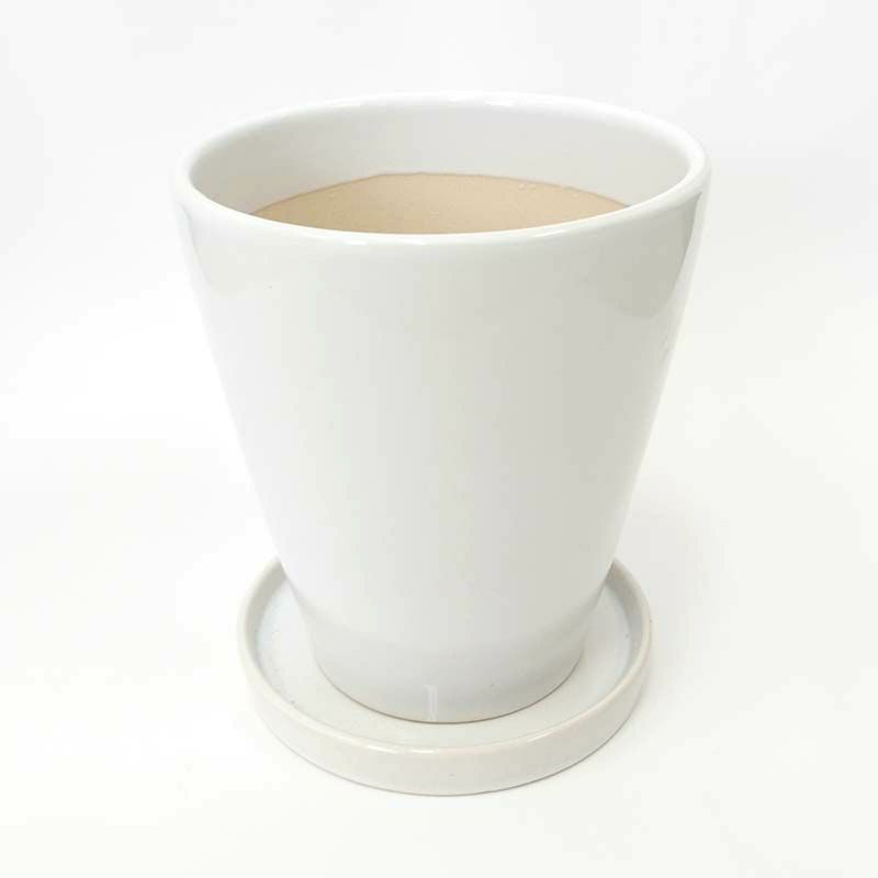 ホワイト陶器鉢 丸形 12cm+陶器製の鉢皿