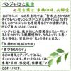 空気浄化の観葉植物