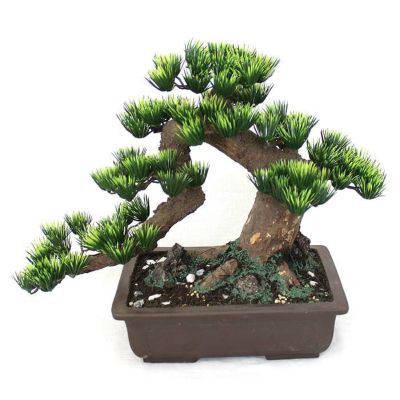 長角けんがい9号（セール限定品） （工芸盆栽）