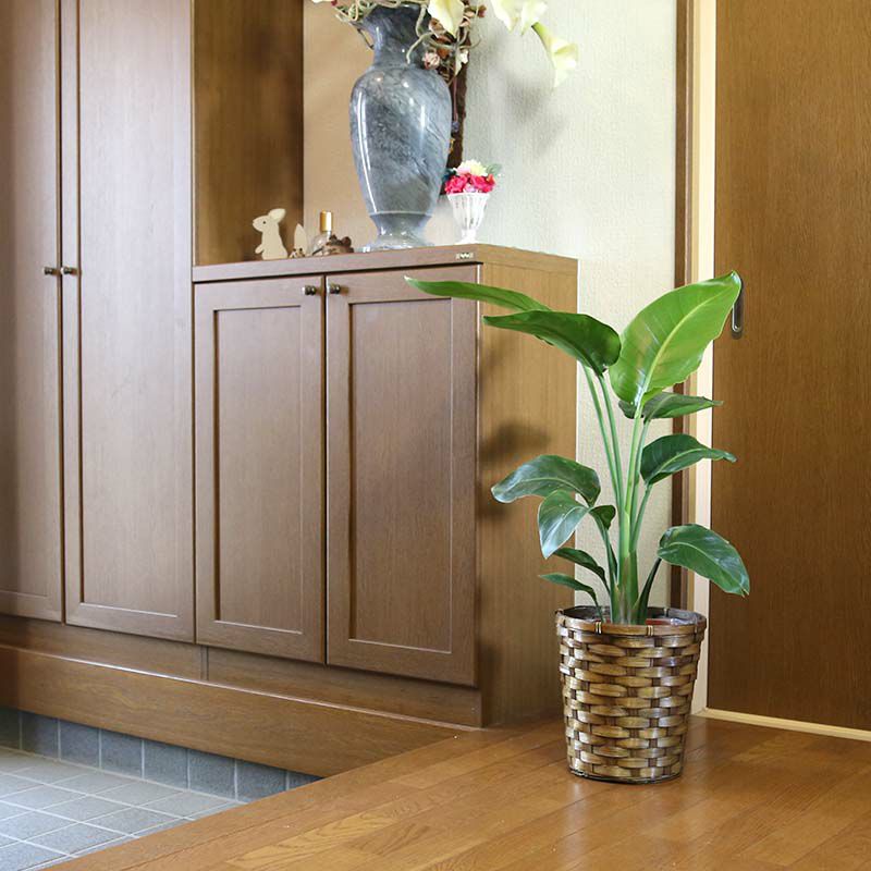 オーガスタ 7号