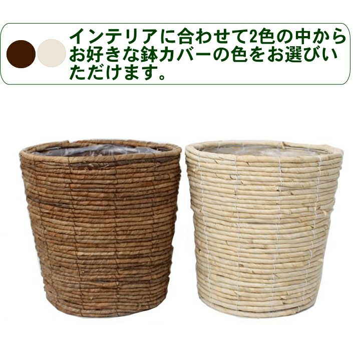 バスケット鉢カバー選択