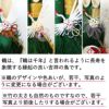おめでたいミニ門松 大サイズ