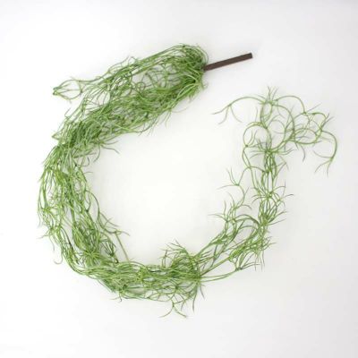 チランジア ウスネオイデス 通販 販売 観葉植物のブルーミングスケープ チランジア ウスネオイデス 通販 販売 観葉植物のブルーミングスケープ