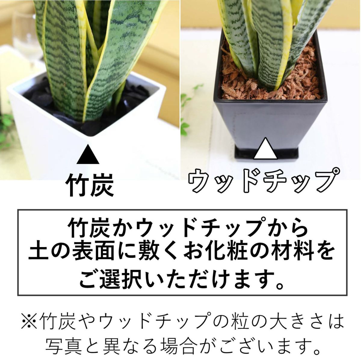 竹炭かウッドチップか選べます