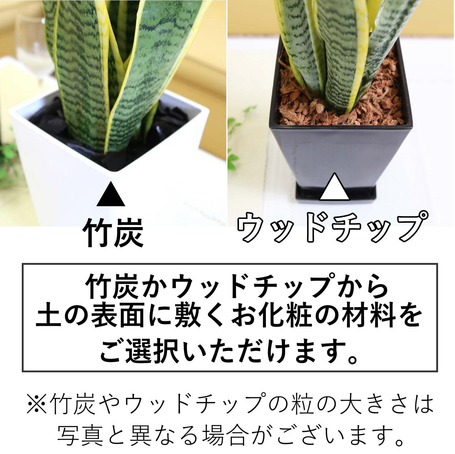 竹炭かウッドチップか選べます