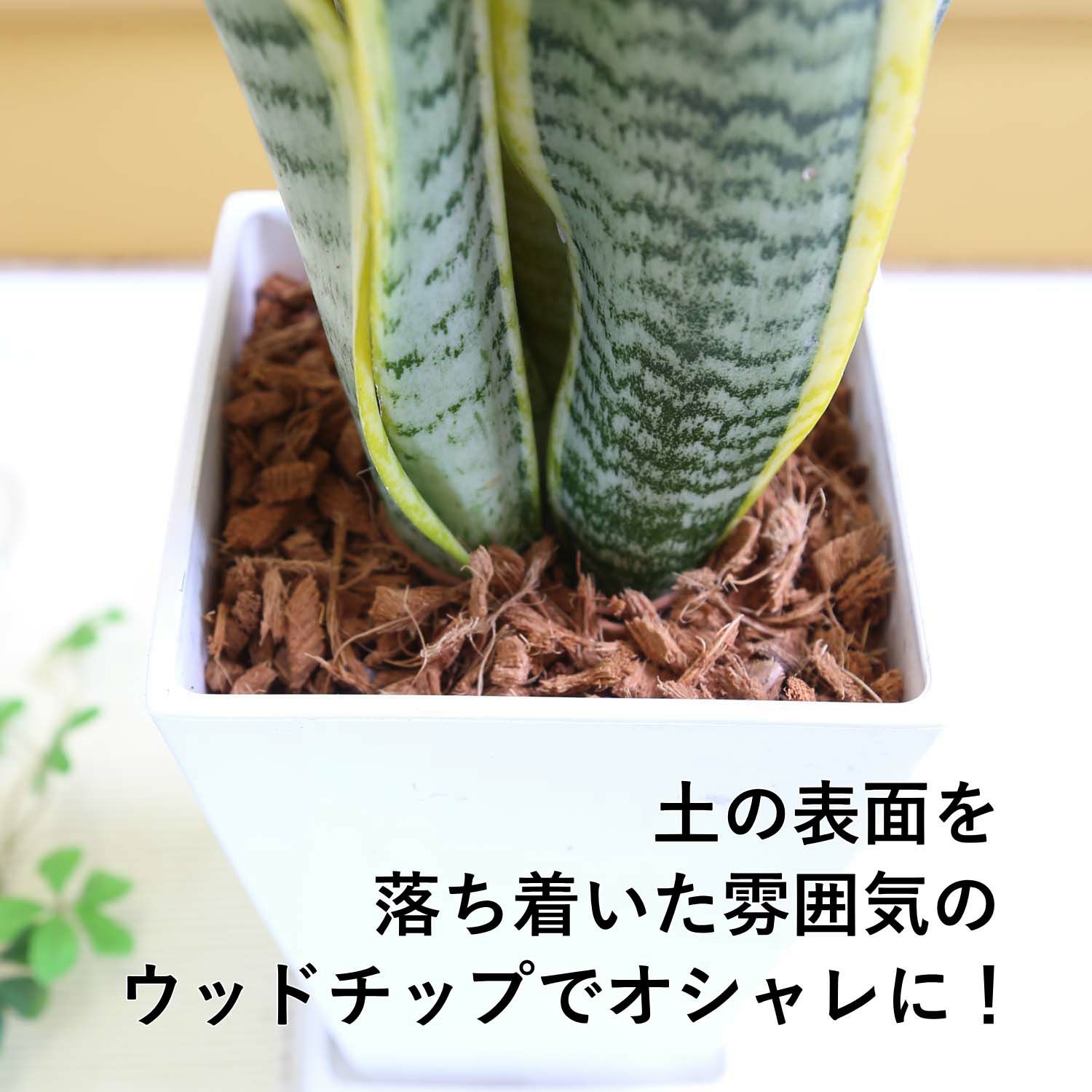 ウッドチップ