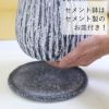 サンスベリア 5号 竹炭