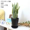 サンスベリア 丸形ブラック 竹炭