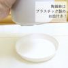 サンスベリア 丸形 陶器鉢