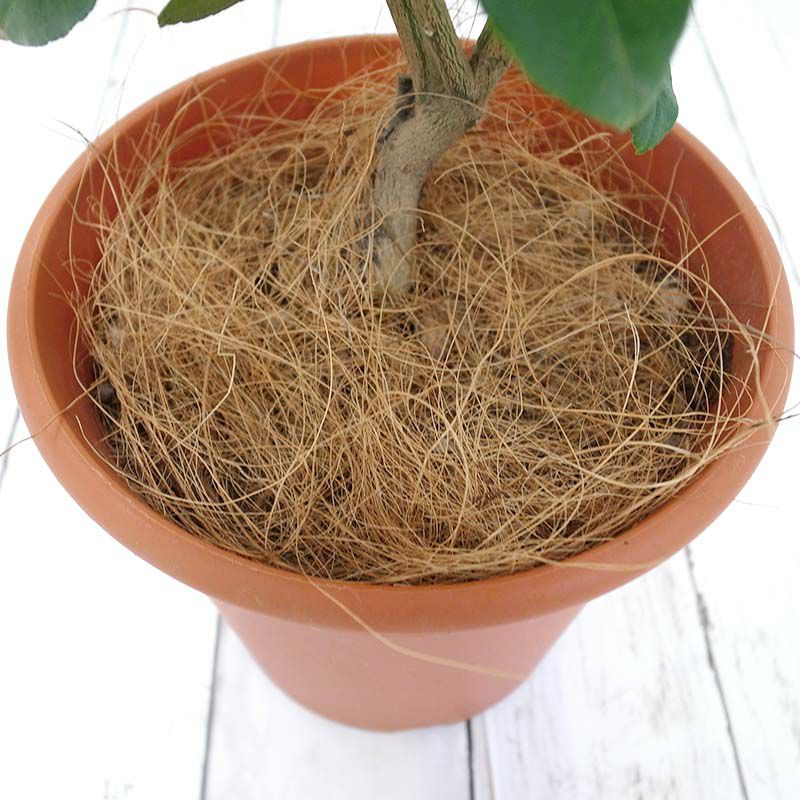 ヤシの繊維（センイ） 業務用 約250リットル