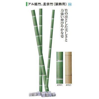 【送料無料】人工和風植栽 アル銘竹 孟宗若竹（装飾用） 60φ・4m【※お届け先：法人様限定】