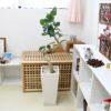 スパイラル仕立てのフィカス ベンガレンシス 9号