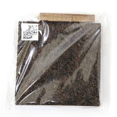 エアプランツや着生植物用 壁面インテリア用のボード 100×100×18