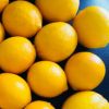 レモンの木「品種 マイヤーレモン」10