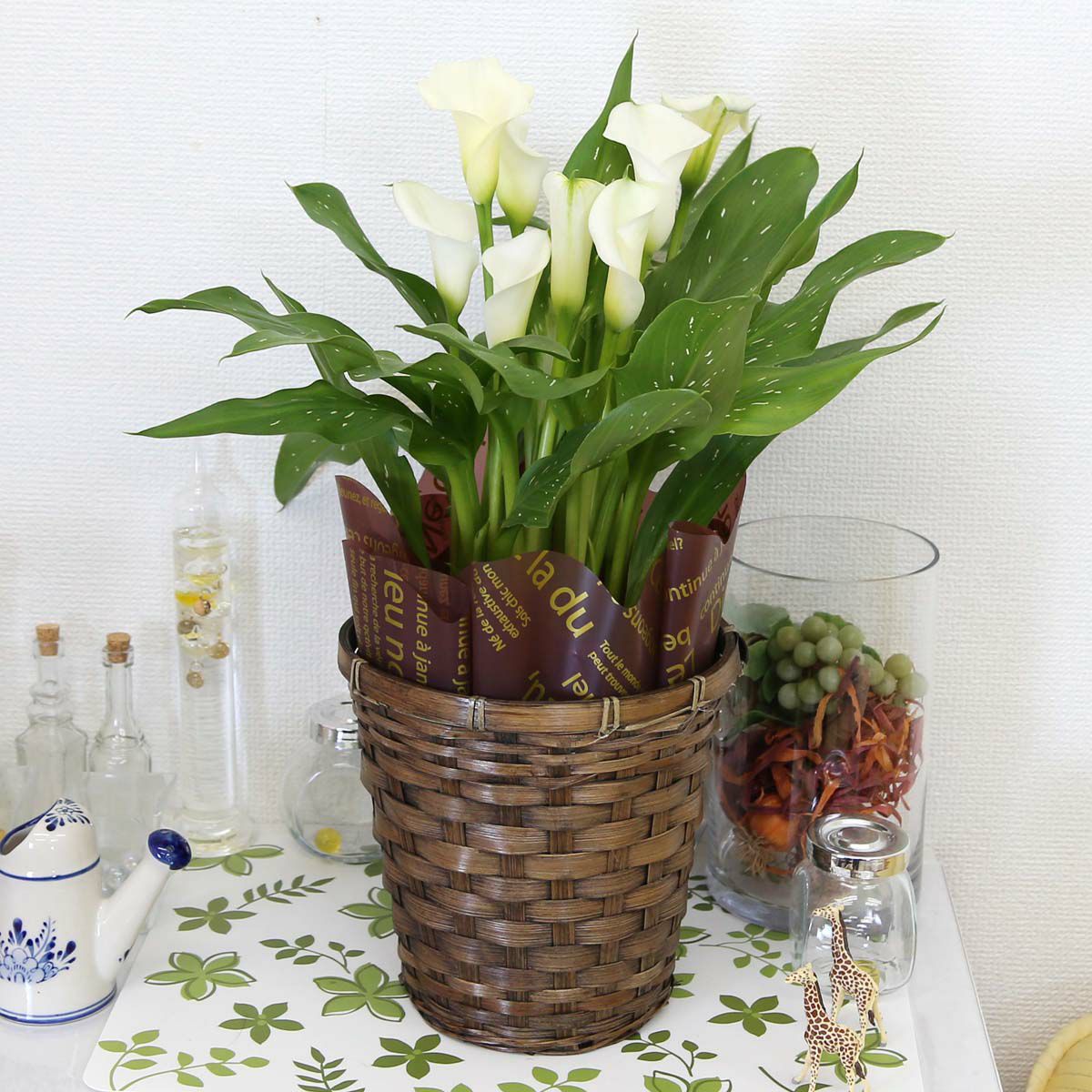 カラー 「ホワイト」 5号