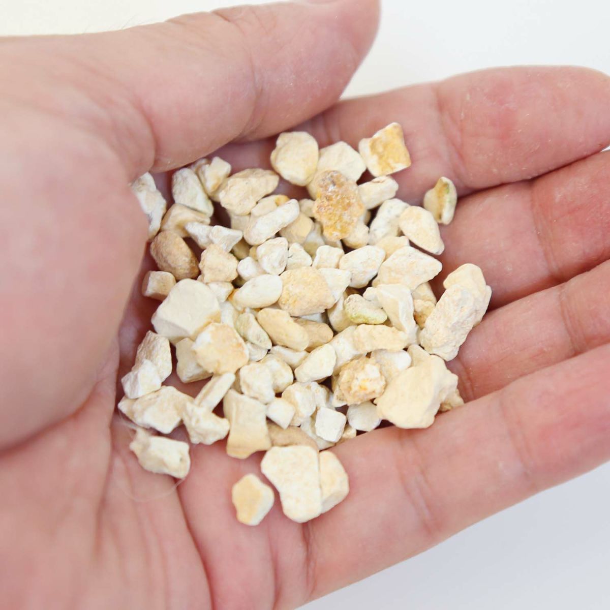 ゼオライト 約600ml