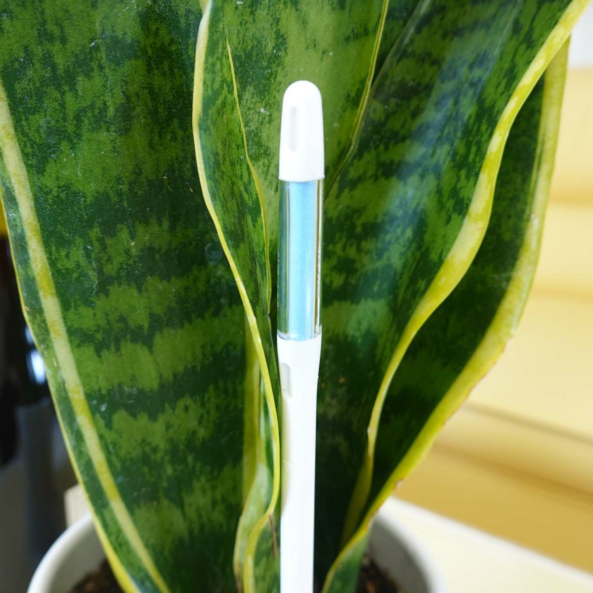 水やりチェッカー