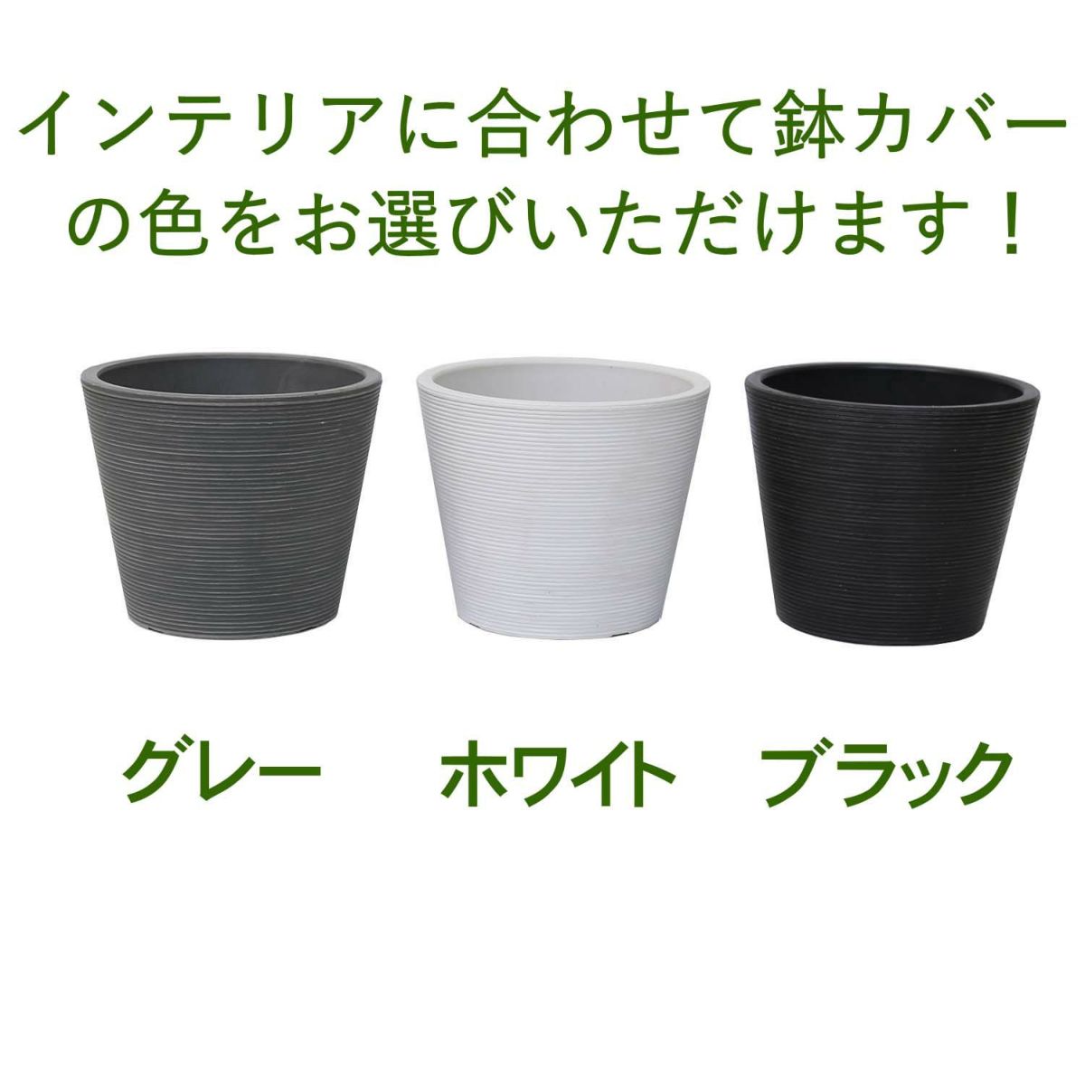 土を使わず清潔感もある観葉植物・選べる鉢カバー