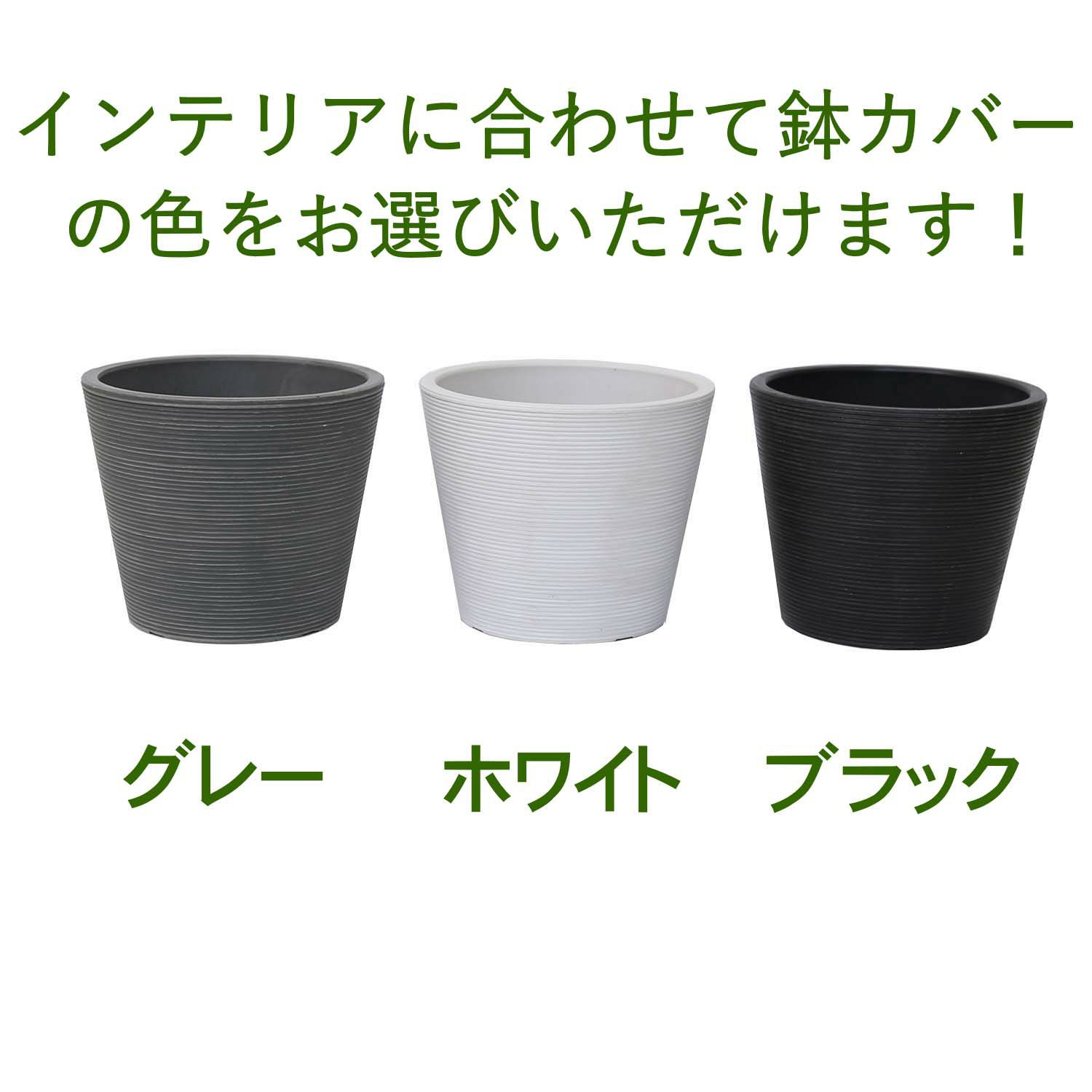 土を使わず清潔感もある観葉植物・選べる鉢カバー