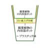 土を使わない観葉植物 サンスベリア ハイドロカルチャー