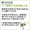 土を使わないで清潔なミニ観葉植物 ゼオライト植え