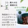 土を使わない観葉植物 ハイドロカルチャー  陶器鉢