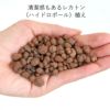 土を使わない観葉植物 ハイドロカルチャー サンスベリア 陶器鉢