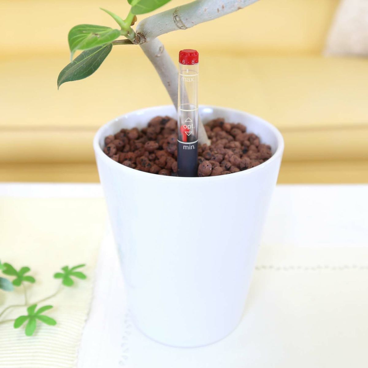 ベンガレンシス・ホワイト陶器鉢 丸形