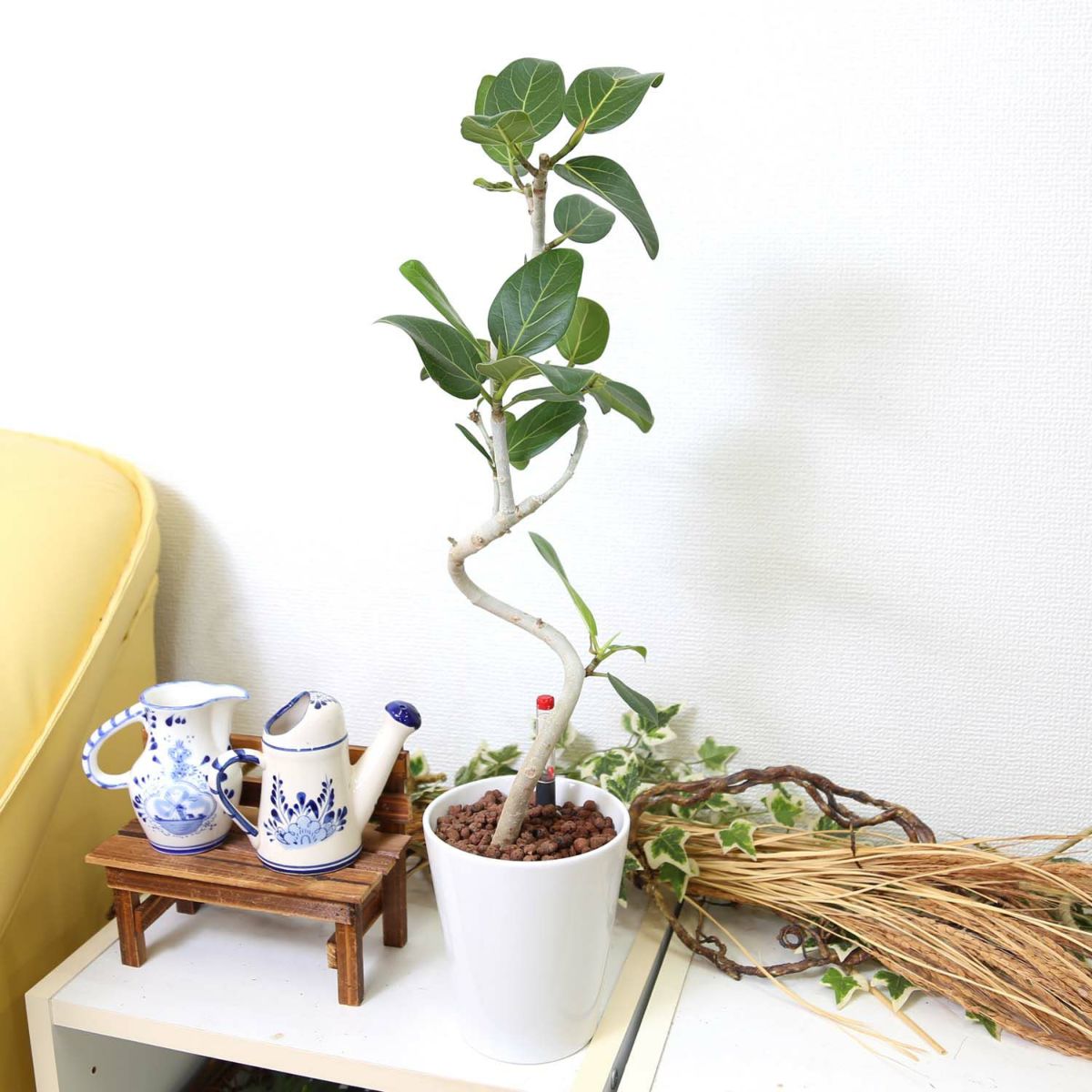 ベンガレンシス・ホワイト陶器鉢 丸形