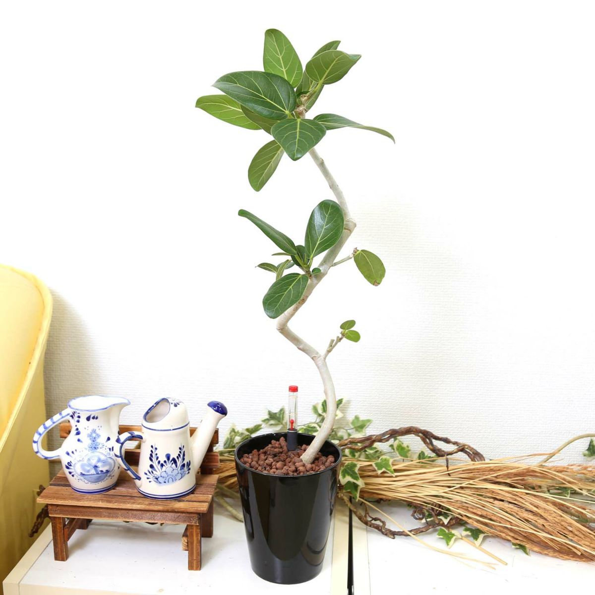 ベンガレンシス・ブラック陶器鉢 丸形