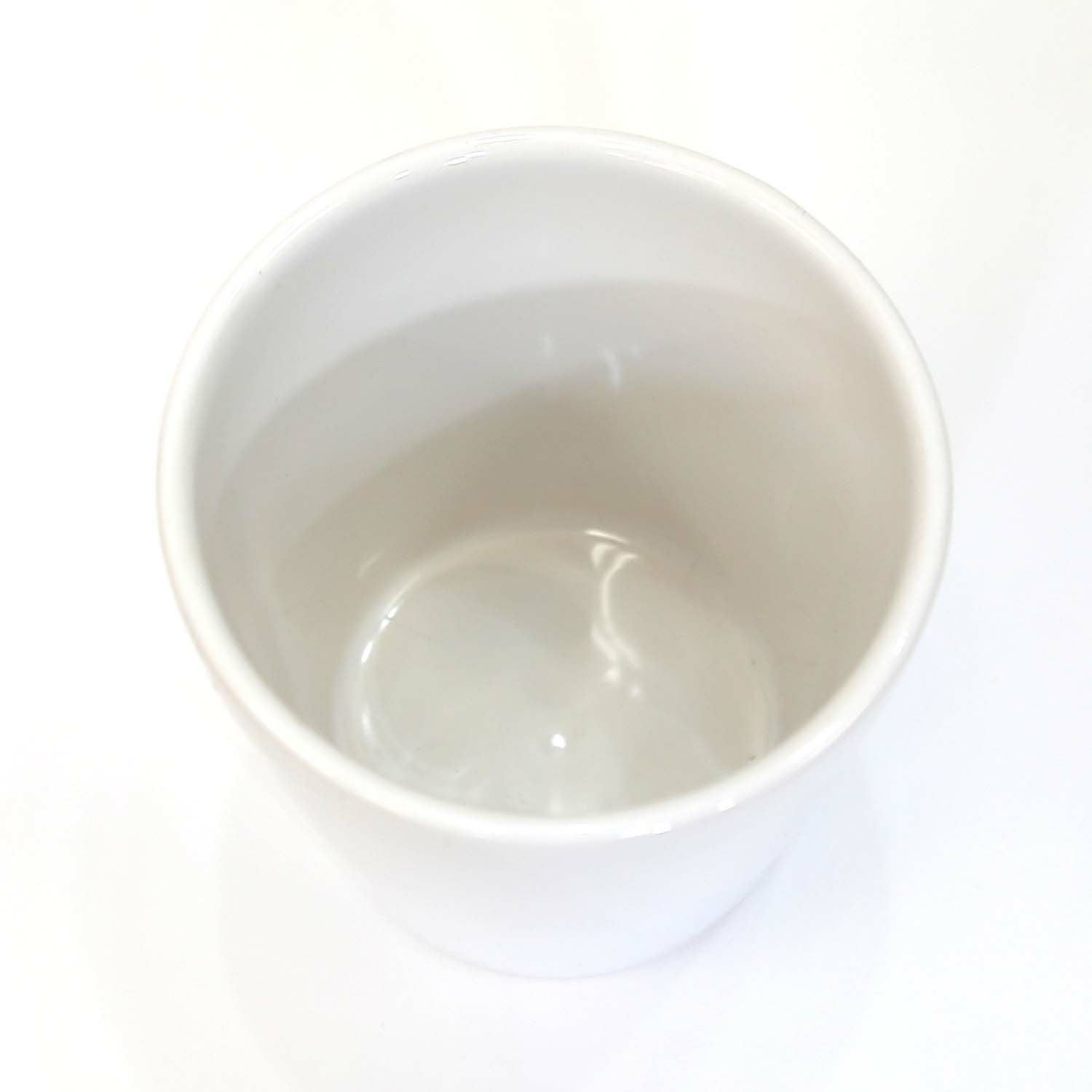 土を使わないミニ観葉植物用　陶器鉢 丸形