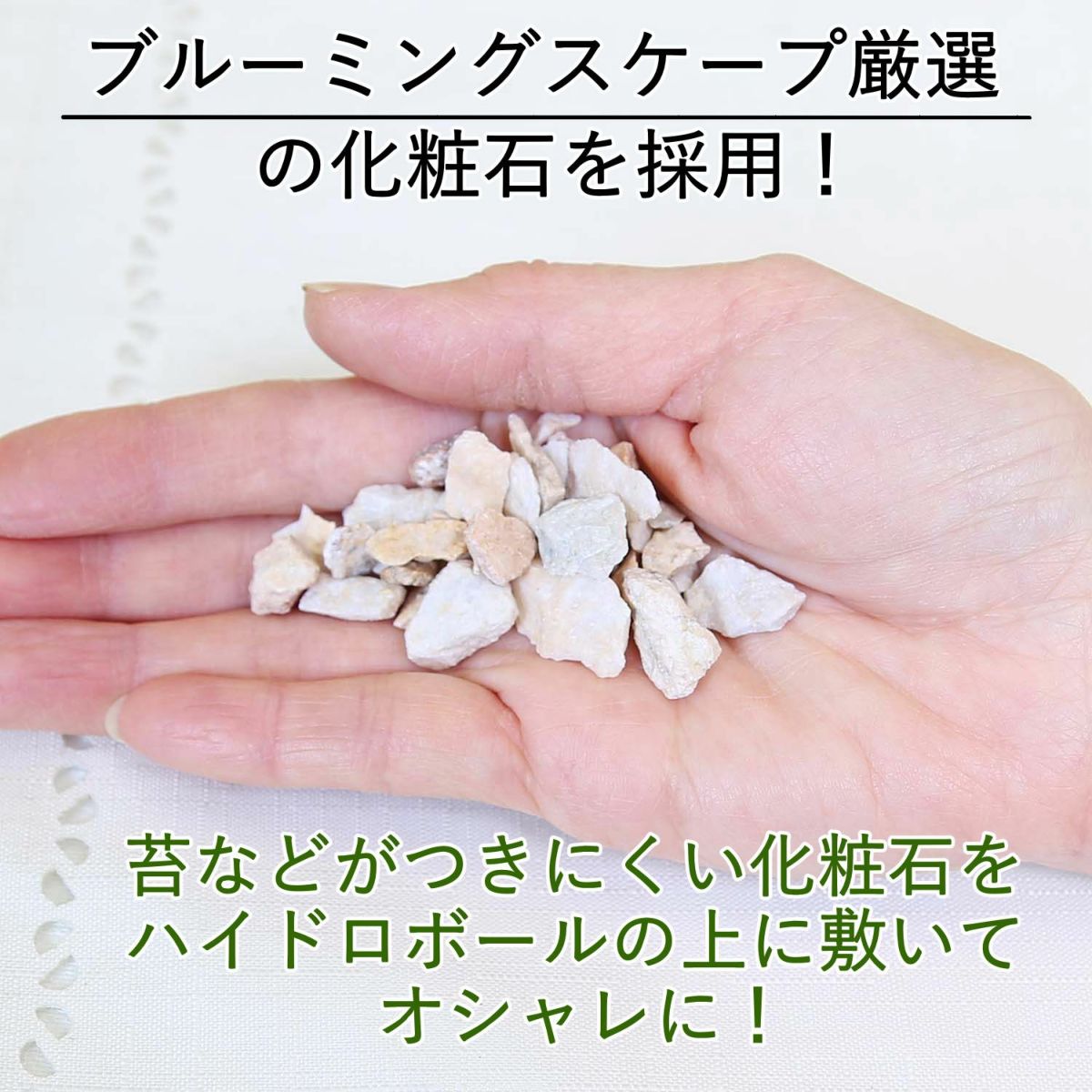 土を使わないで清潔なミニ観葉植物 ハイドロボール植え