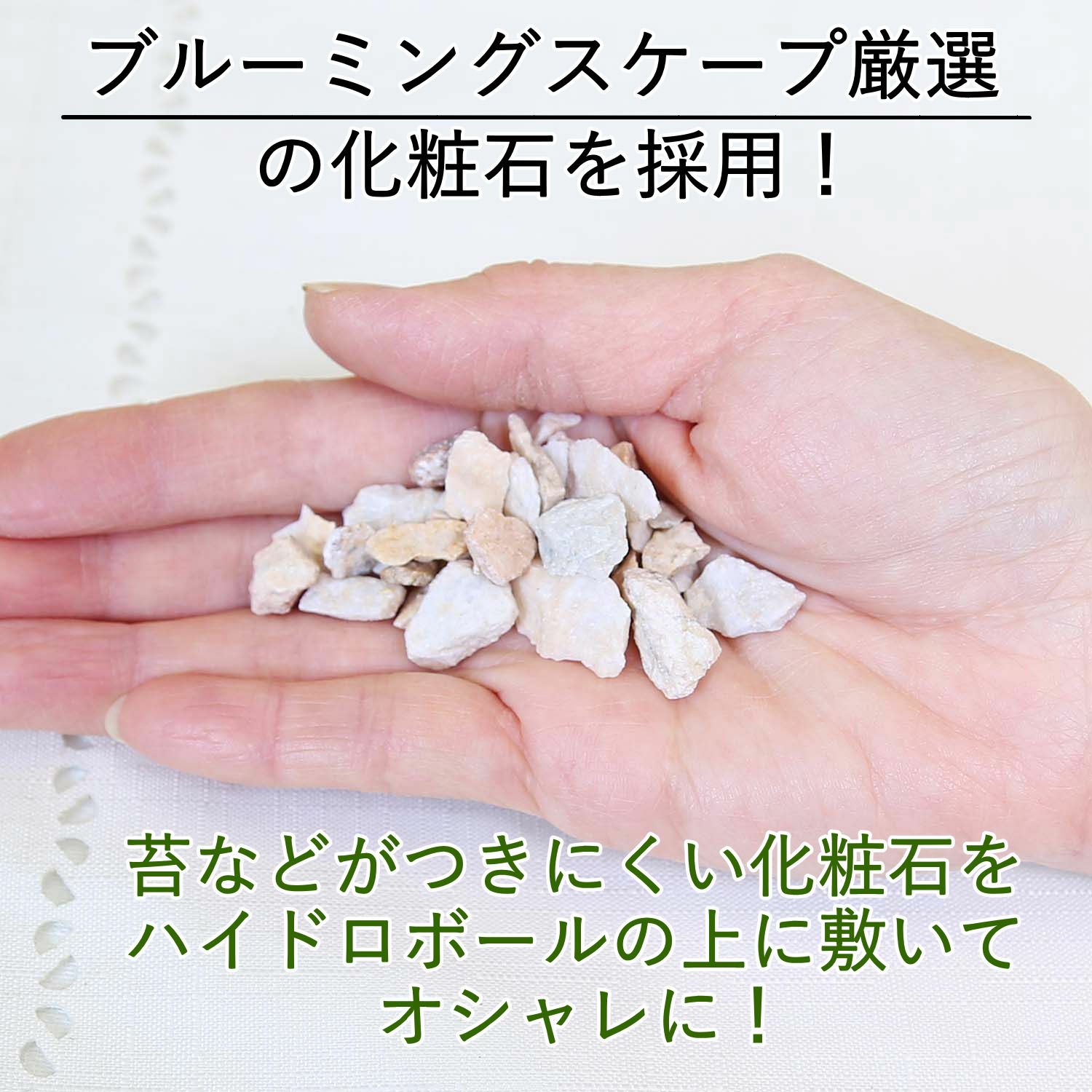 土を使わないで清潔なミニ観葉植物 ハイドロボール植え
