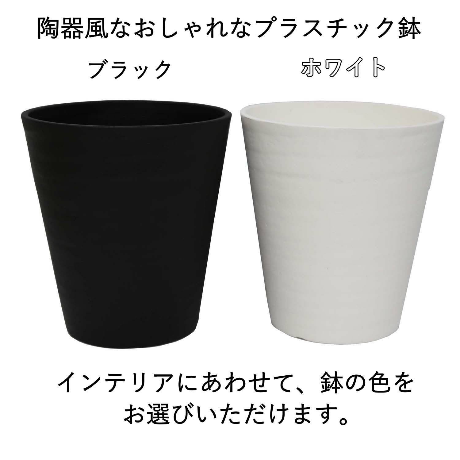 鉢の色をお選びいただけます。