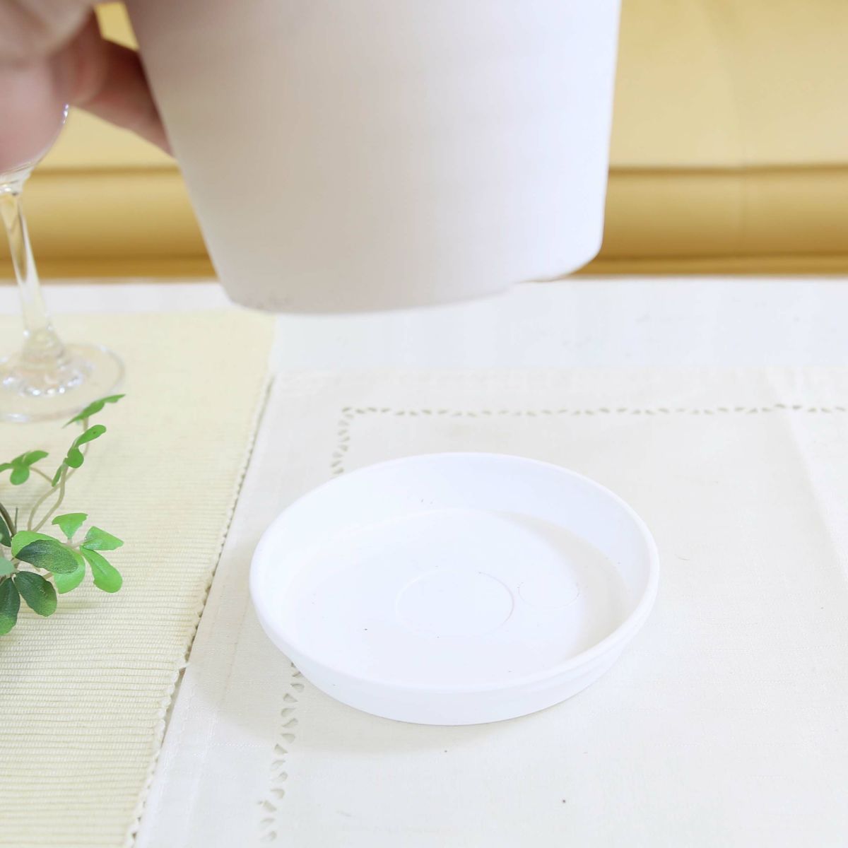 サンスベリア セラアート鉢