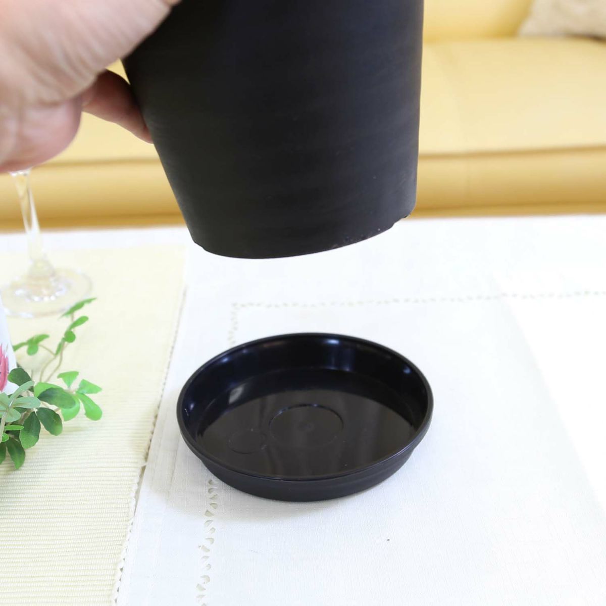 サンスベリア セラアート鉢