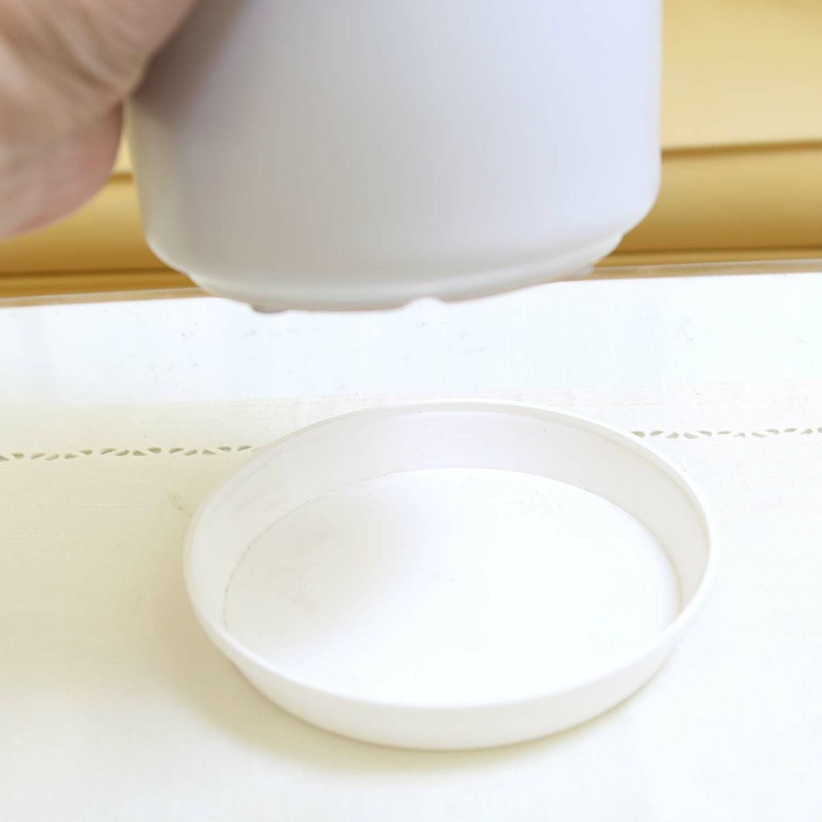 サンスベリア 5号 陶器鉢