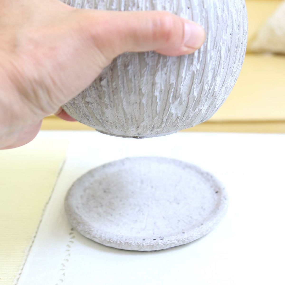 サンスベリア 5号 セメント鉢